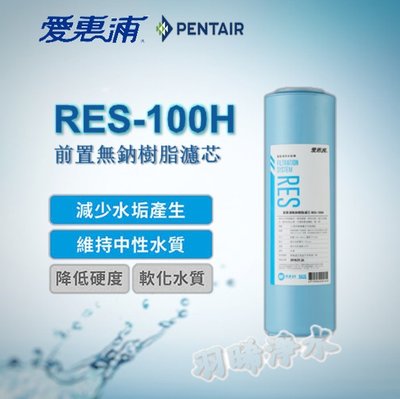 【愛惠浦公司貨 】EVERPURE RES-100H 濾心 公司貨淨水濾芯 雷射標籤