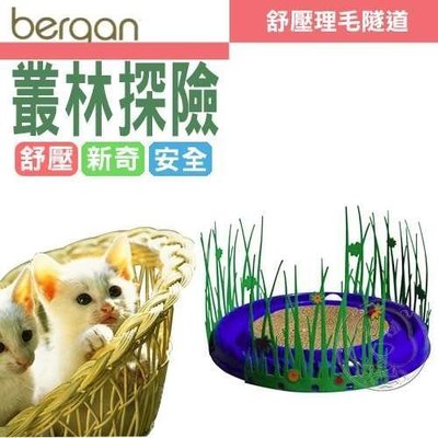 【🐱🐶培菓寵物48H出貨🐰🐹】Bergan》寵物生活用品叢林探索可搭配健身圓盤 特價237元
