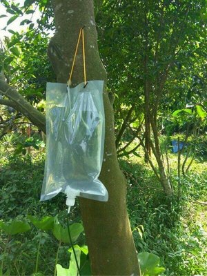 輸液袋1公升（蕨類、樹木、盆栽）