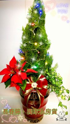 長春籐獨家私房貨，立地式，LED燈，黃金扁柏組合式聖誕樹$１３００