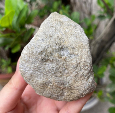 白黃皮老莫西沙冰種翡翠原石，種老皮老，皮殼起皺，有脫沙，黑冰 529