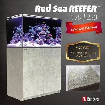 ◎ 水族之森 ◎ 以色列 Red Sea 紅海 REEFER™ 250 90X50X53cm 超白玻璃 套缸組（工業風）