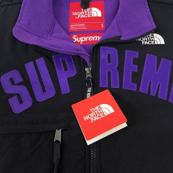 全新正品Supreme 2020北臉聯名TNF Arc Logo Denali Fleece Jacket 絨