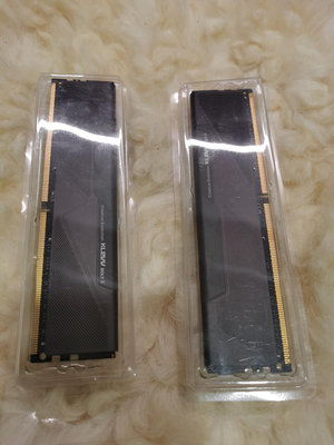 【 99新 免運 2片合售 買到賺到】科賦 KLEVV 16GBx2  2片合售 DDR4-2666 BOLT X系列 記憶體 原廠終身保