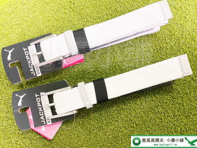 [小鷹小舖] PUMA GOLF 高爾夫皮帶 05421304 彈力編織結構製成 具有時尚、功能和舒適性 亮白色