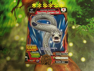 百獸大戰Maximum銅卡:Spotted Garden Eel