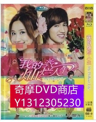 DVD專賣 我的燦爛人生 言承旭/陳彥妃/翁虹 38集4D9完整版
