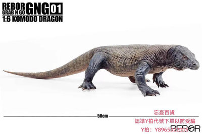 仿真模型REBOR恐龍動物仿真模型玩具GNG系列科莫多龍 科莫多巨蜥 蜥蜴