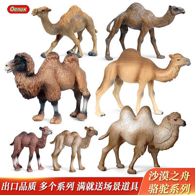 駱駝模型仿真實心野生動物兒童玩具塑膠擺件蒙古沙漠單雙峰駱駝