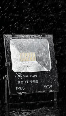 柏泓~MARCH LED 20W 防水投光燈~IP66~黃光/白光