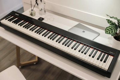 【澄風樂器】全新 免運NUX NPK-10 Portable Digital Piano數位鋼琴