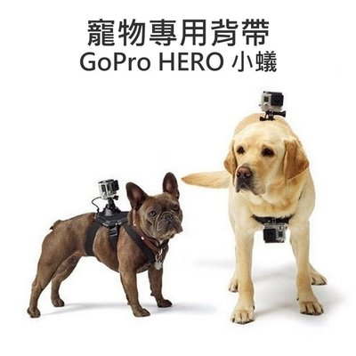 【中壢NOVA-水世界】GoPro HERO 3+ 4 SJ5000 SJ6000 小蟻 狗狗 寵物專用背帶 可調式胸帶