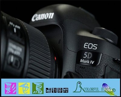 彩色鳥(租 相機 鏡頭)租 Canon EOS 5D mark IV Canon 5D4 5DIV 5D IV 出租