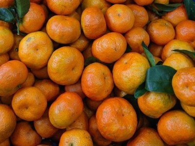 结束 免運😆台灣中寮砂糖橘20斤。