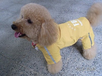 狗衣狗服│日本peppets FBI兩件式狗狗雨衣/風衣-嫩黃色（３～９號）