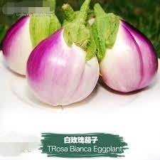 【蔬菜種子S078】白玫瑰茄子~美麗的意大利傳家寶品種，奶油質地，特別柔滑嫩滑，口感細膩溫和。