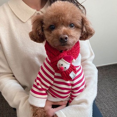下殺-耶誕節寵物衣服送圍巾 小型幼犬秋冬款