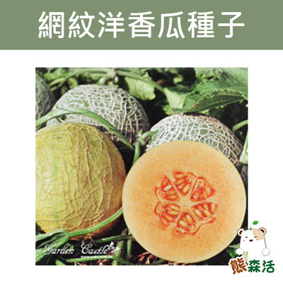 ～全館滿790免運～網紋洋香瓜(哈密瓜)種子Melon-約10粒【熊森活】哈密瓜 種子
