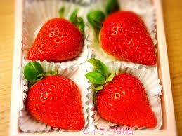"草莓一族"日本草莓.草莓苗. 德島夢いちご  草莓種子/10粒入種子