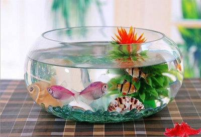 精品創意水族箱生態圓形鼓缸形玻璃金魚缸烏龜缸迷你小型造景水培花瓶