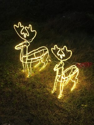 LED 3D立體糜鹿 造型燈 /LED2D立體麋鹿/ LED聖誕燈