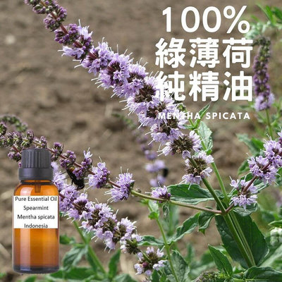 100%-綠薄荷純精油Spearmint-Pure Essential Oil-100ml