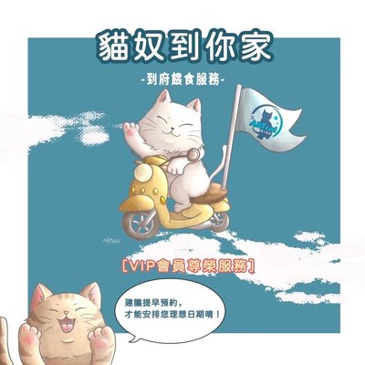 ART cat 高雄市-貓の美容- 寵物保姆三民區