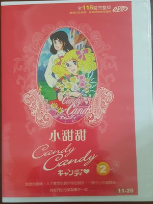 二手DVD專賣店【歐美動畫-小甜甜完整版 全115回 共12碟】台灣正版二手DVD