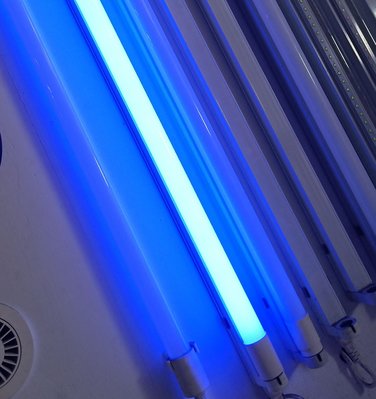LISTAR 20W LED 4尺T8 藍色光 玻璃燈管 全電壓 雙邊供電
