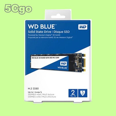 5Cgo【權宇】Western Digital SSD Blue 固態硬碟 M.2 2280 含稅