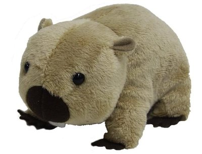 15098c 日本進口 好品質 限量品 超可愛 柔軟 澳洲 袋熊動物小熊熊 BEAR 毛絨毛娃娃玩具玩偶擺件送禮禮品
