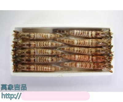 【冷凍蝦蟹類】斑節蝦(明蝦)10尾/約420g~頂級海鮮食材~絕對挑動您的味蕾~