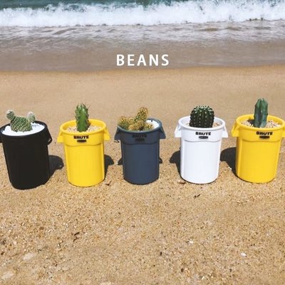 【樂趣坊】DOLV | 豆綠 BRUTE小桶 美國原裝進口 ins風塑料花盆 結實耐用