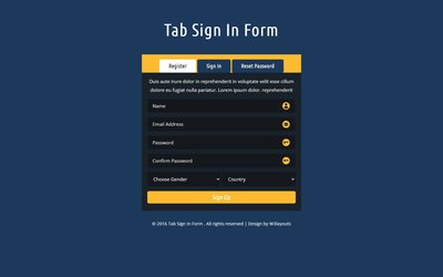 Tab Sign In Form 響應式網頁模板、HTML5+CSS3、網頁設計  #07006