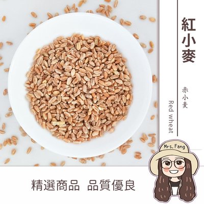 【日生元】紅小麥 600g 雜糧米 小麥 小麥草 鸚鵡 倉鼠 飼料
