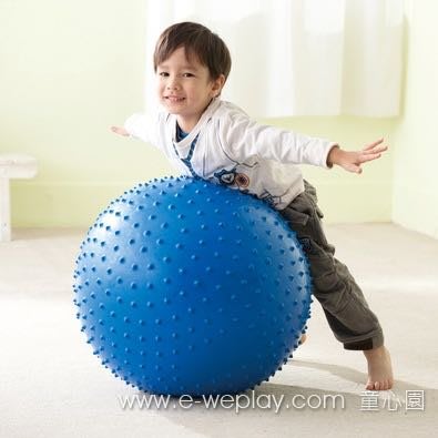 【免運】Weplay童心園彈力觸覺球 (請先詢問是否有現貨)