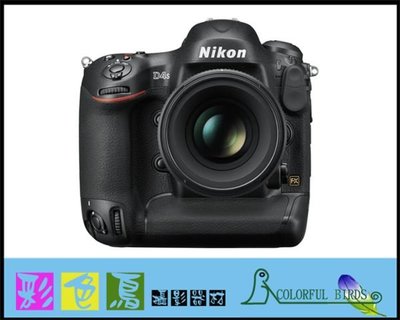 彩色鳥(租NIKON 200-400MM F4 VR II)租 Nikon D4S 單機身