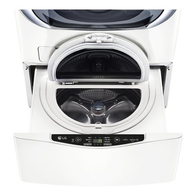 ＊可議價＊LG 樂金 TWINWash 2.5KG Mini洗衣機 WT-D250HW 冰磁白