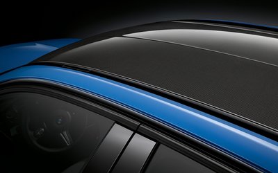 【樂駒】BMW F80 M3 原廠 碳纖維 車頂 carbon 改裝 精品 套件 輕量化