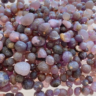 【巽玉閣】阿拉善戈壁超值紫羅蘭葡萄乾瑪瑙珠子料原石500g散石一批 - 散石,珠子,奇石,DIY