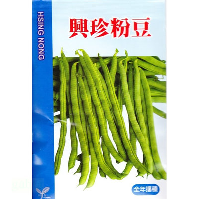 種子王國 興珍粉豆 菜豆 四季豆【蔬果種子】肉質細嫩 口感佳 甜度高 極早生 全年可播種 興農種苗 每包約10公克