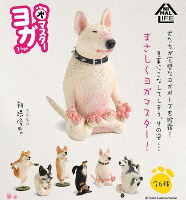 日版 朝隈俊男 Animal Life 狗瑜珈大師 中盒8入 大全一套六款 + 隱藏版黃金獵犬 + 1隨機 共8隻 公仔