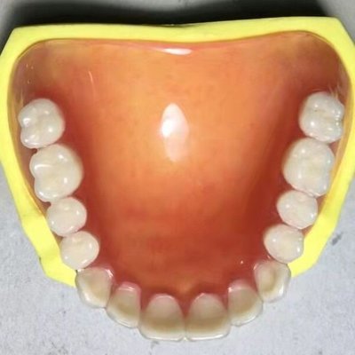 森尼3C-好品質 上半口牙齒模型14顆(不能帶著吃飯)不支持退貨-品質保證