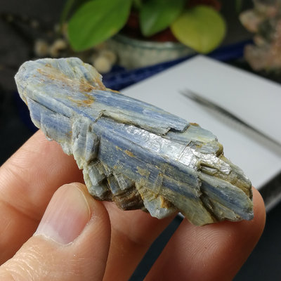 [友克鑫礦業]da50約重33.1g-藍晶石原礦 Kyanite 無加工天然晶礦