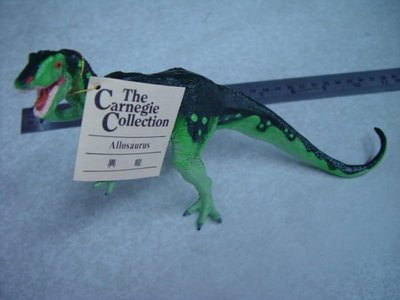 變形金剛**The Carnegie Collection allosaurus 異特龍 異龍 恐龍王者 侏儸紀 精緻實心恐龍模型