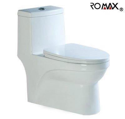 《台灣尚青生活館》美國品牌 ROMAX R8017 水龍捲 單體馬桶 兩段式沖水 同TOTO雙龍捲
