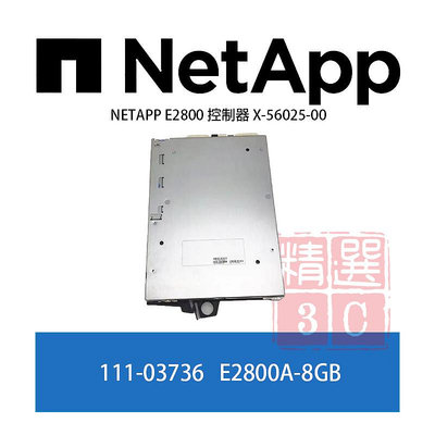 Netapp 111-03736 X-56025-00 E2800A-8GB NETAPP E2800 控制器