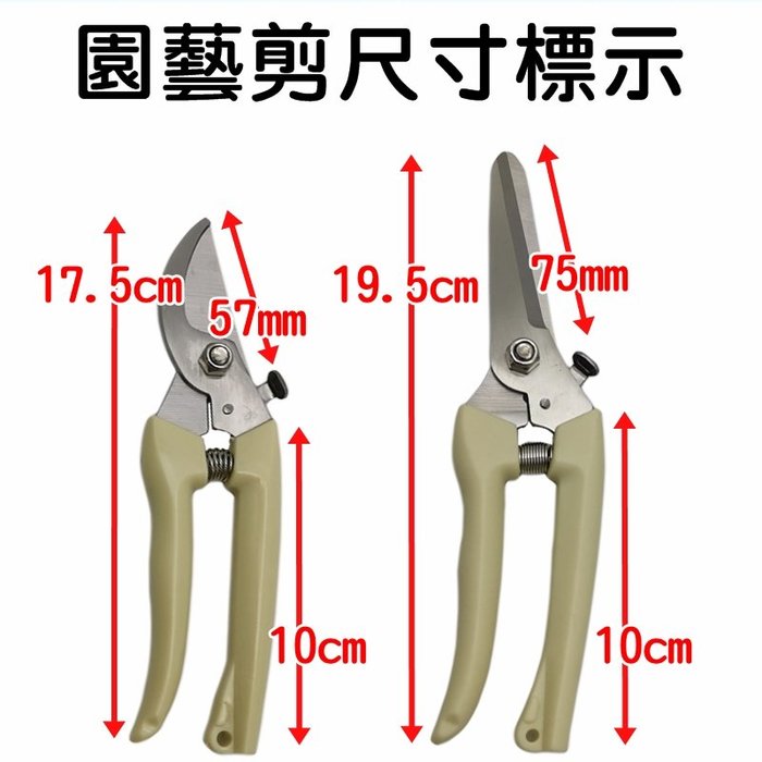 【珍愛頌】N094 園藝剪刀 修枝剪 樹枝剪 果樹剪 高枝剪 花藝剪 剪定鋏 花枝剪刀 粗枝剪刀 花木剪刀 不鏽鋼 剪刀