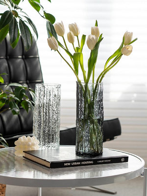 2024新款冰川花瓶擺件客廳輕奢高級感玻璃透明插花水養鮮花專用高~瑤瑤小鋪