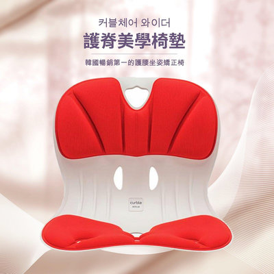 Curble護脊美學椅墊 韓國暢銷第一的護腰坐姿矯正椅(大人款) 🔔限宅配